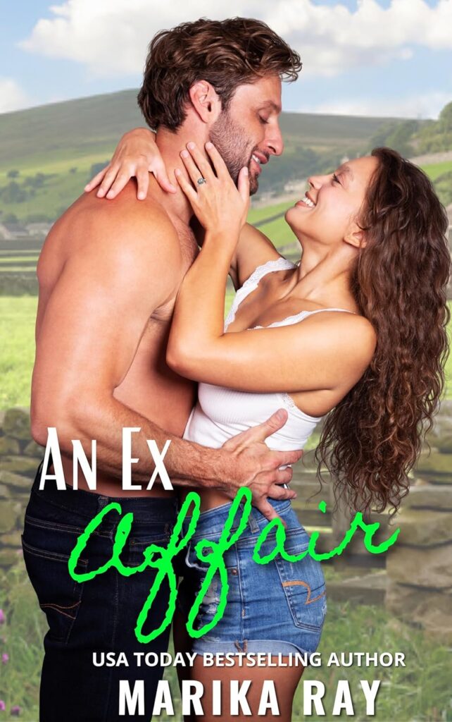 An Ex Affair