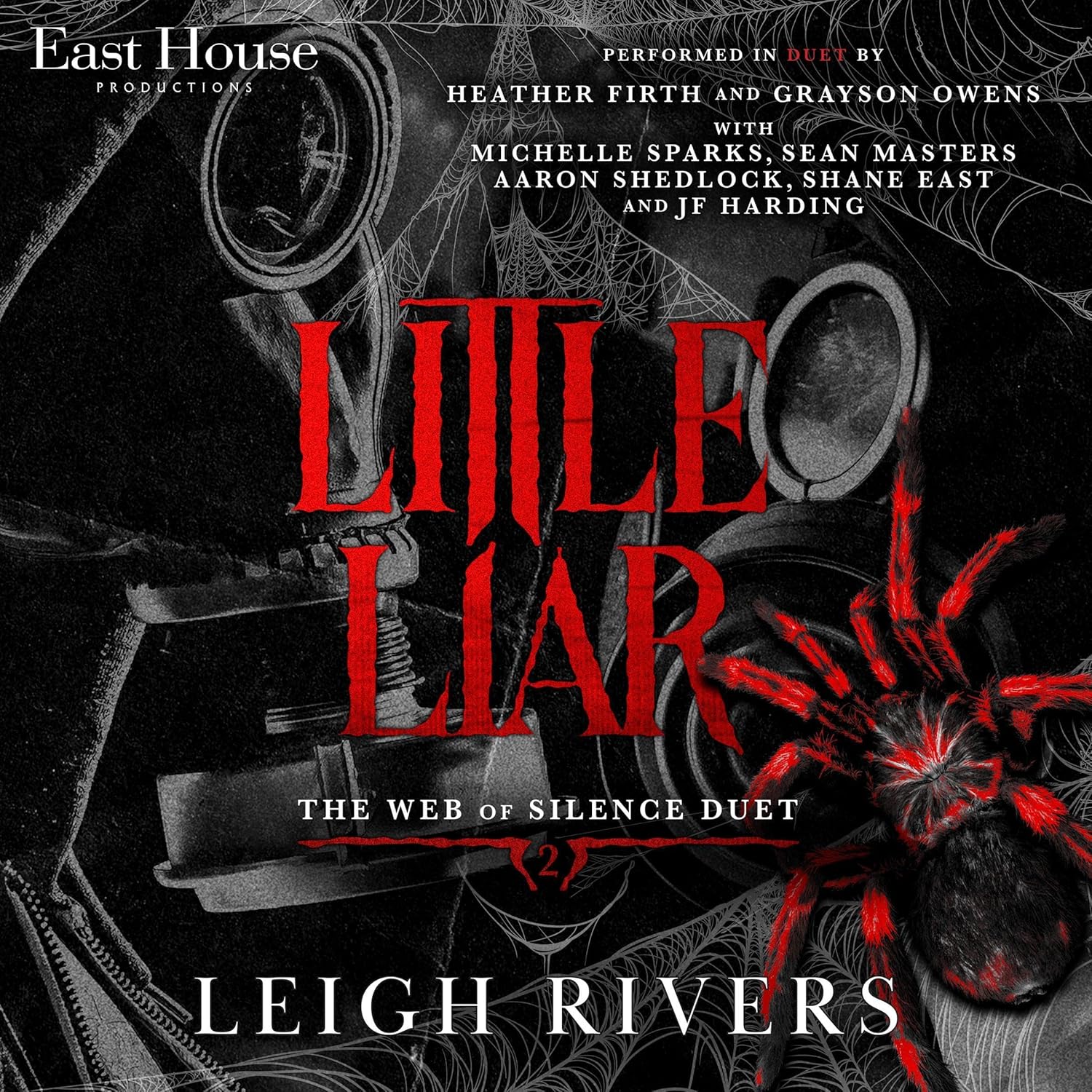 Little Liar