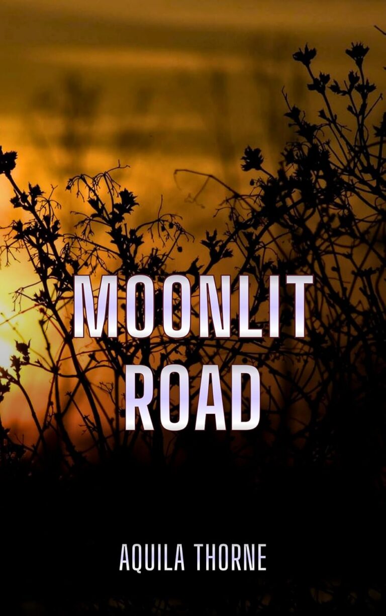Moonlit Road