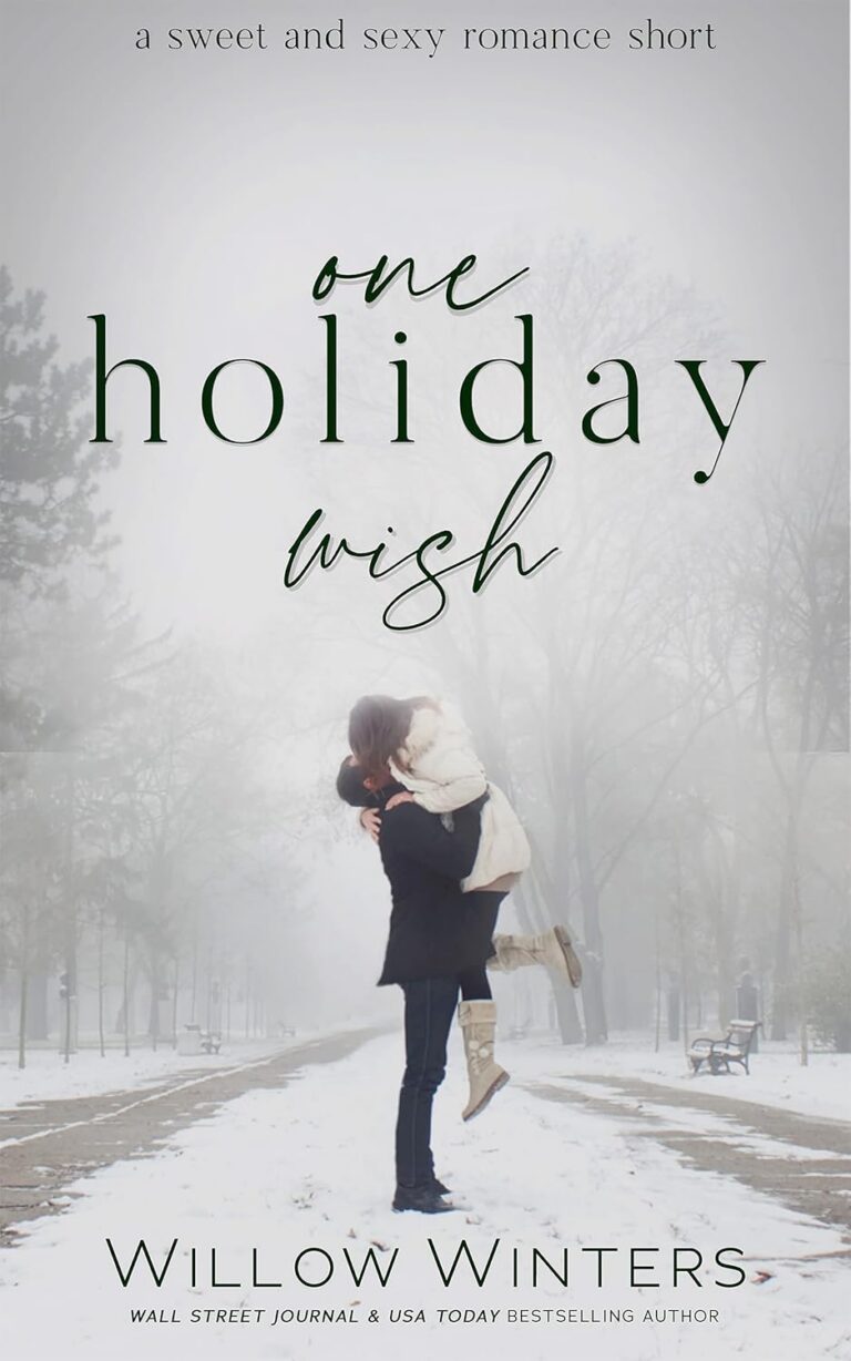 One Holiday Wish