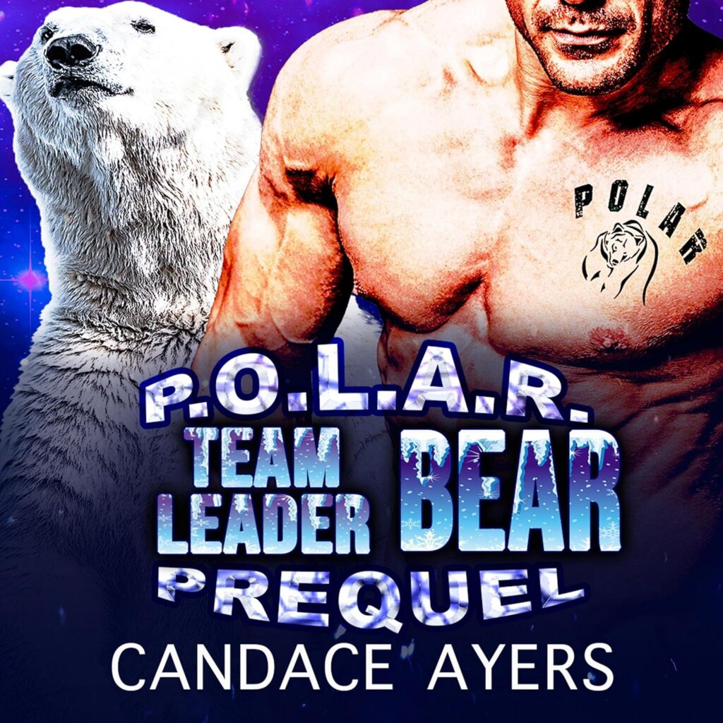 Team Leader Bear