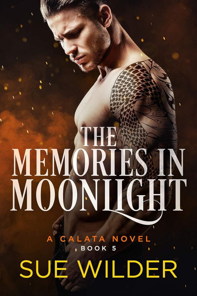 The Memories in Moonlight