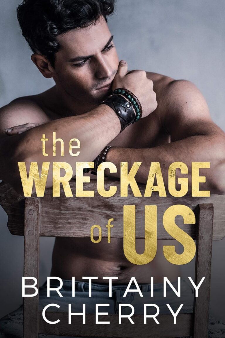 The Wreckage of Us cover