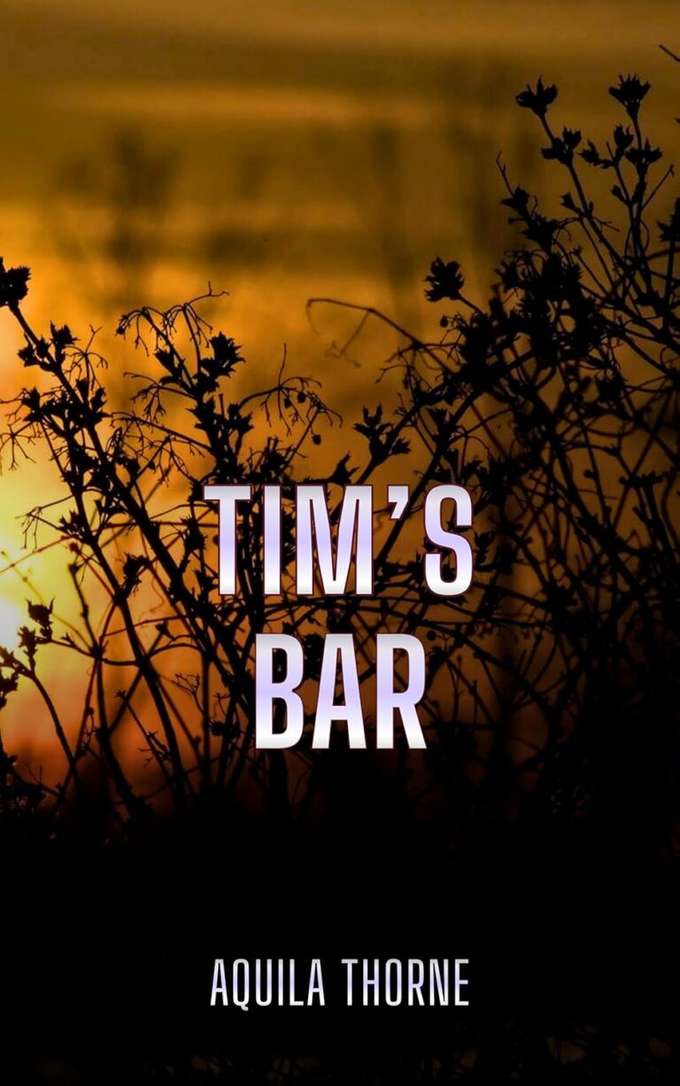 Tim's Bar a Strangers to Lovers Romance