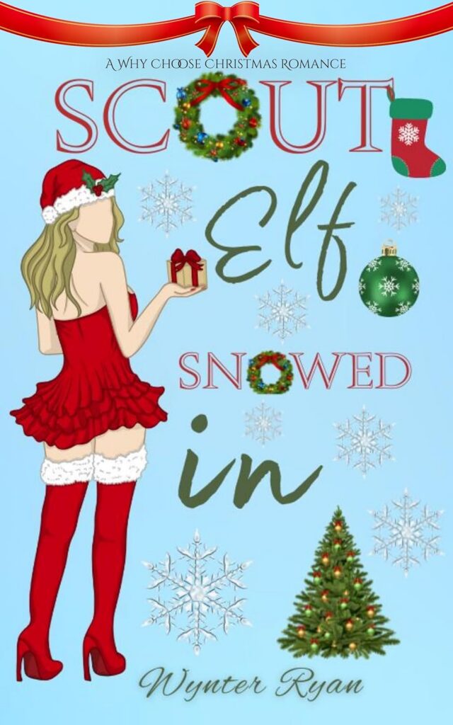 Scout Elf Snowed In