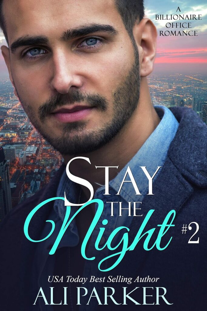 Stay the Night Book 2