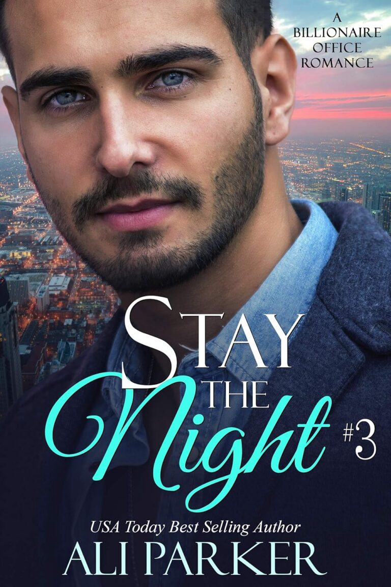Stay the Night Book 3