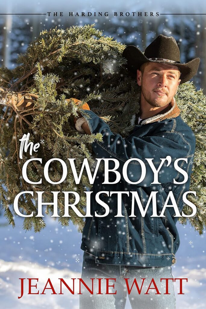The Cowboy's Christmas