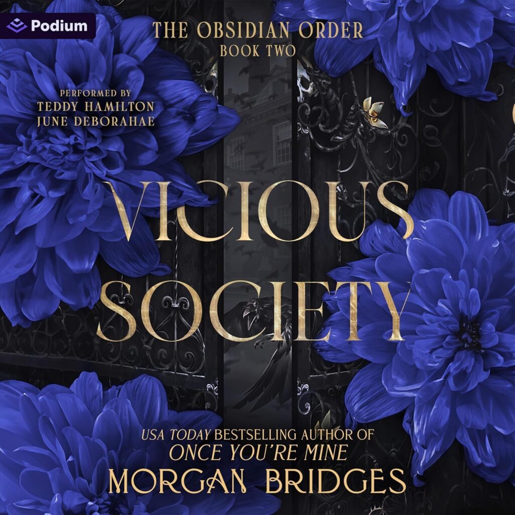 Vicious Society